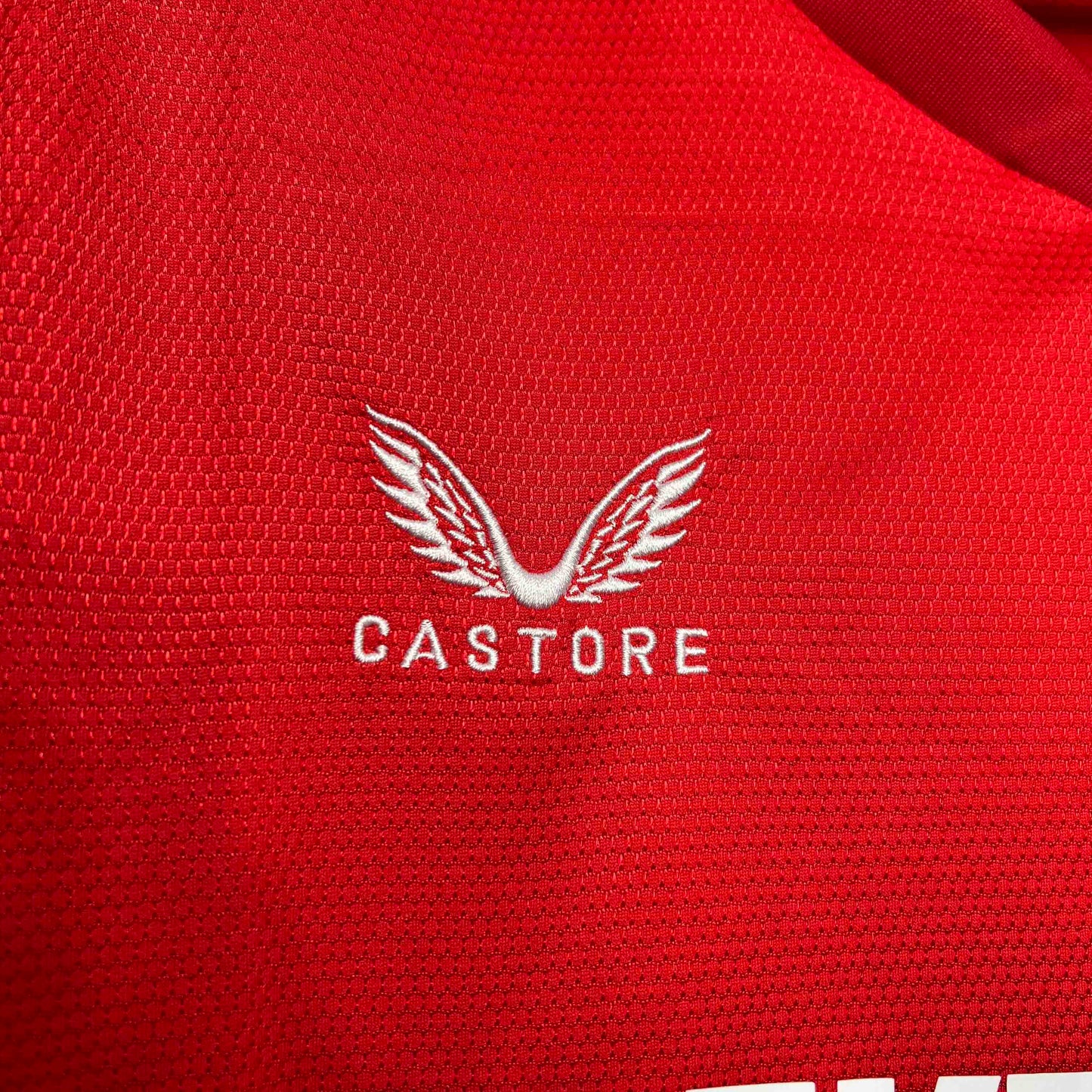 Camisola Twente 2024-25 Principal Versão Adepto