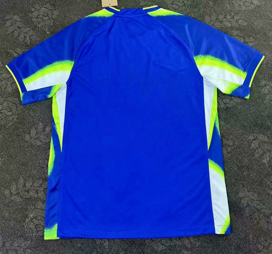 Camisola Coreia do Sul 2025 Alternativa Azul Versão Adepto