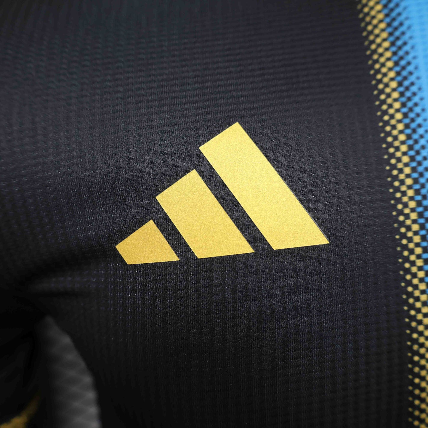 Camisola Argentina 2024 Edição Especial Versão Jogador