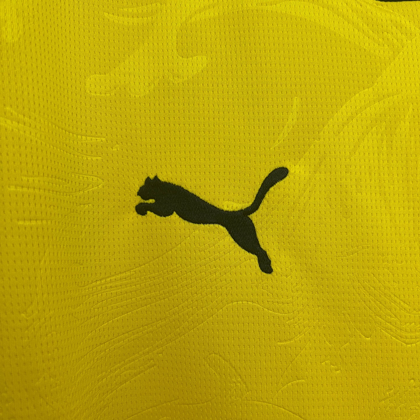 Camisola Borussia Dortmund 2024-25 Edição Especial Versão Adepto