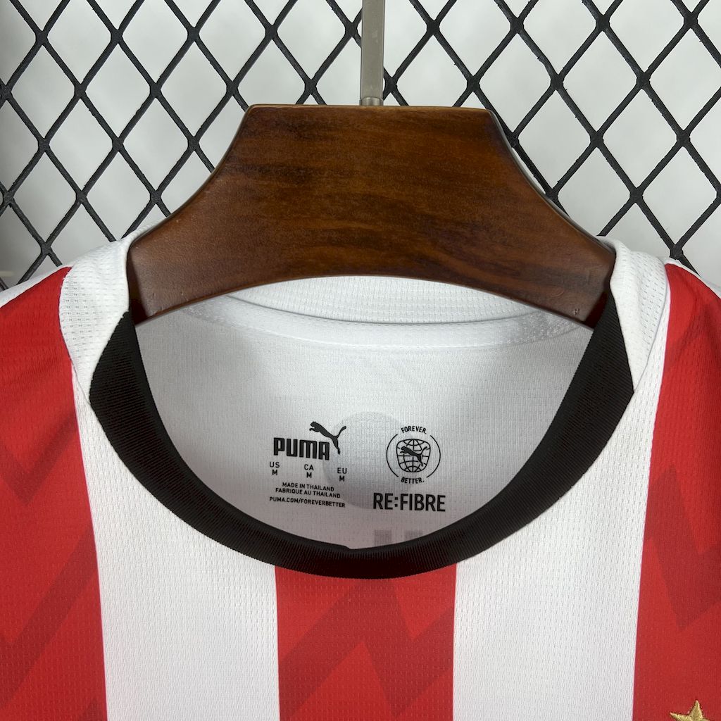 Camisola PSV Eindhoven 2025-26 Principal Versão Adepto