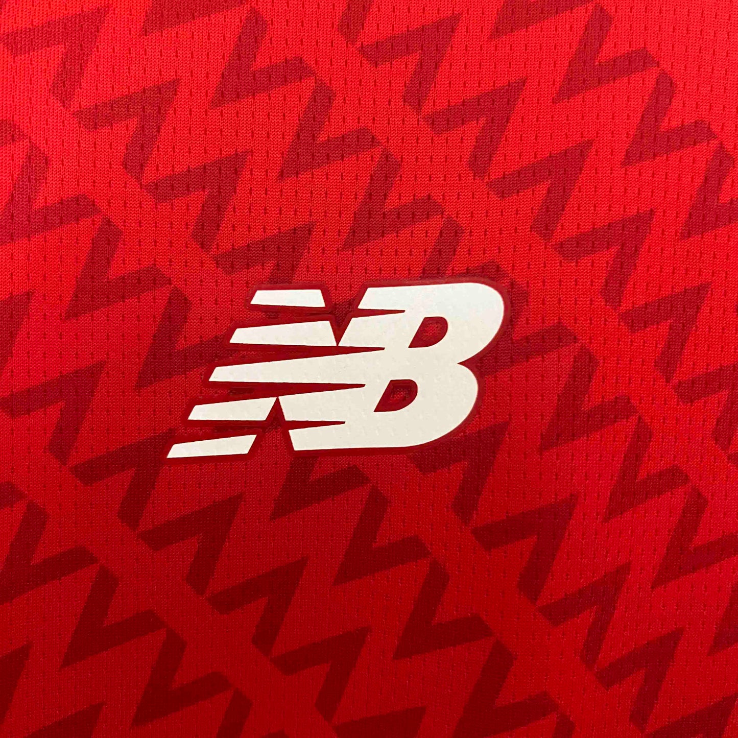 Camisola LOSC Lille 2024-25 Principal Versão Adepto