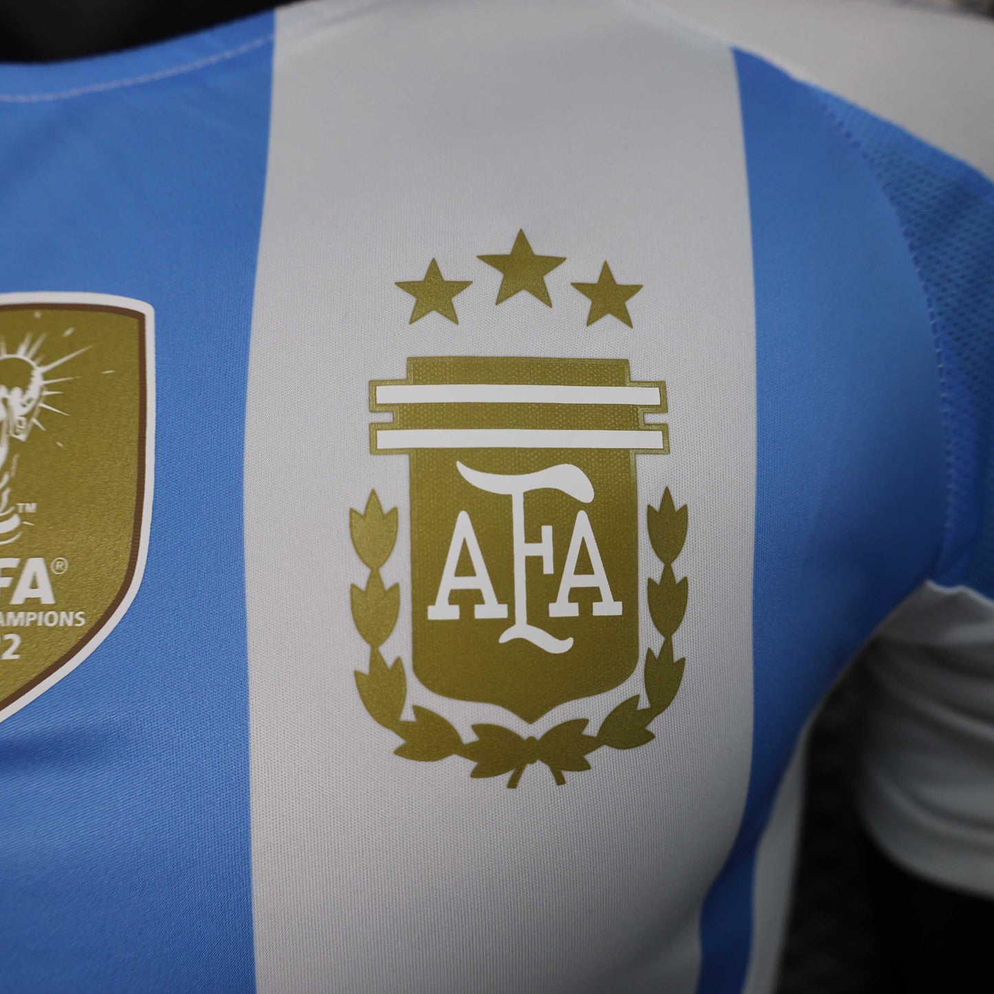 Camisola Argentina 2024 Principal Versão Jogador