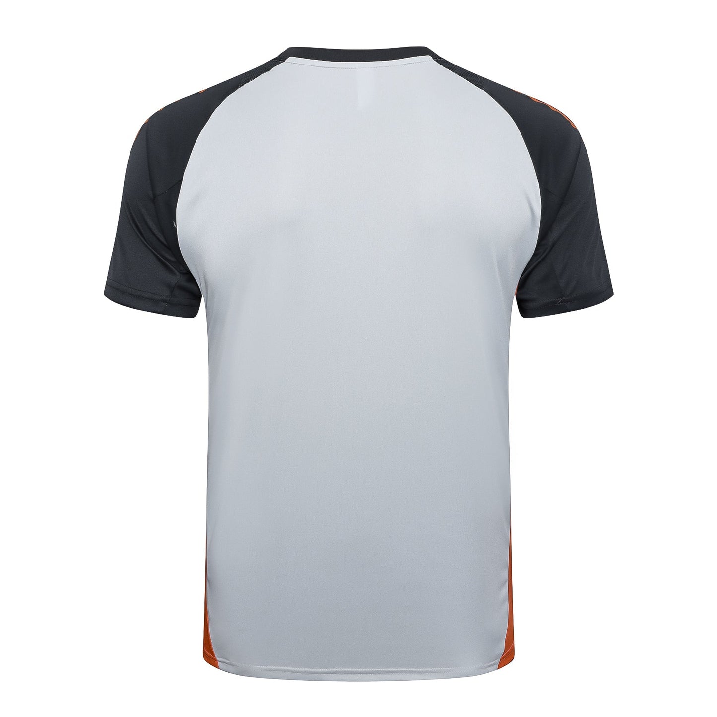 Kit Treino Camisola S.L.B 2025-26