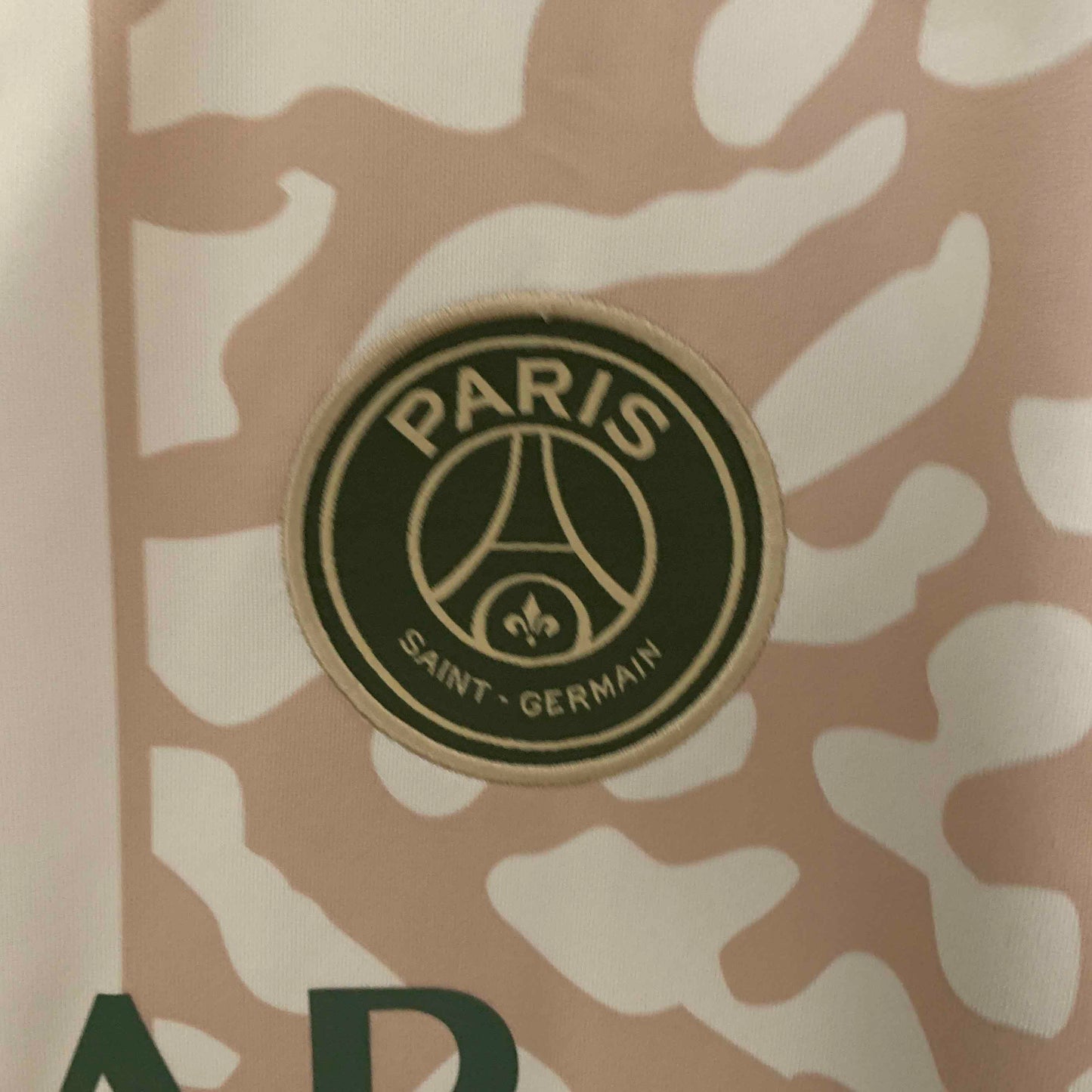 Camisola FC Paris Saint-Germain 2023-24 Alternativa