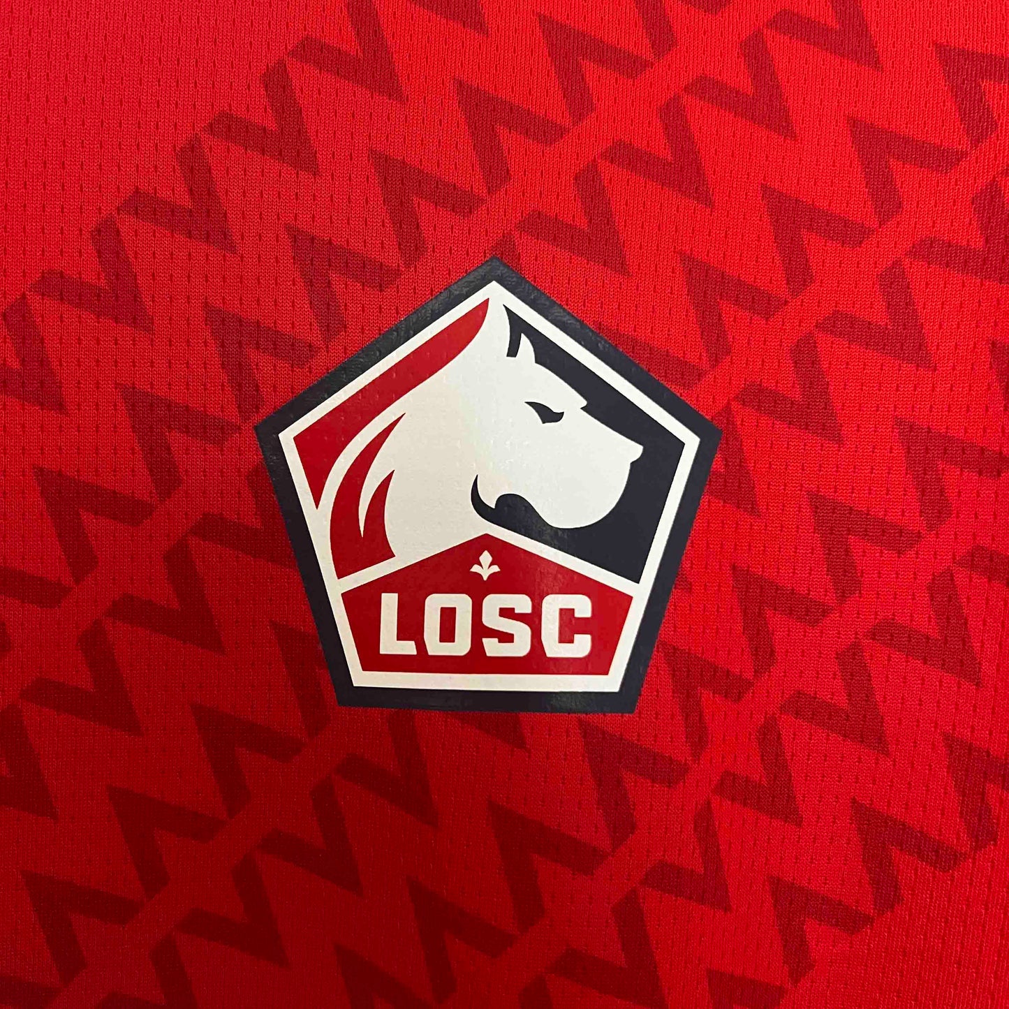 Camisola LOSC Lille 2024-25 Principal Versão Adepto