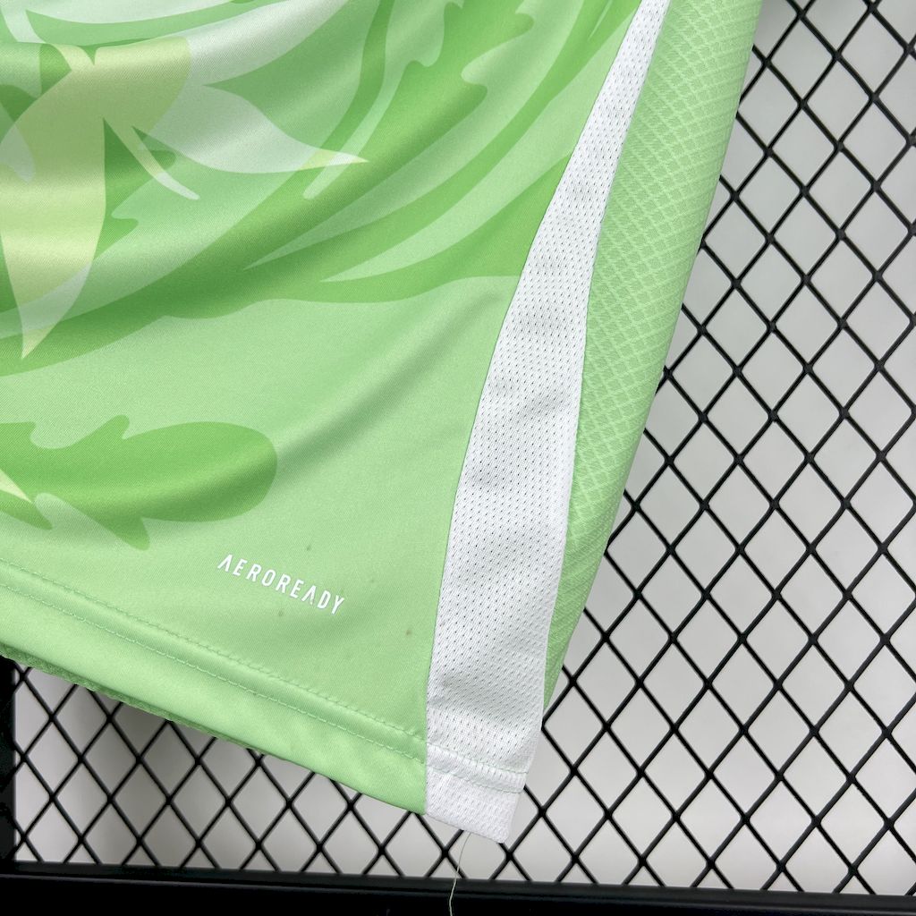 Camisola Italia 2025 Alternativa Verde Versão Adepto
