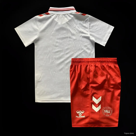 Denmark 2024 Kids Alternate Kit
