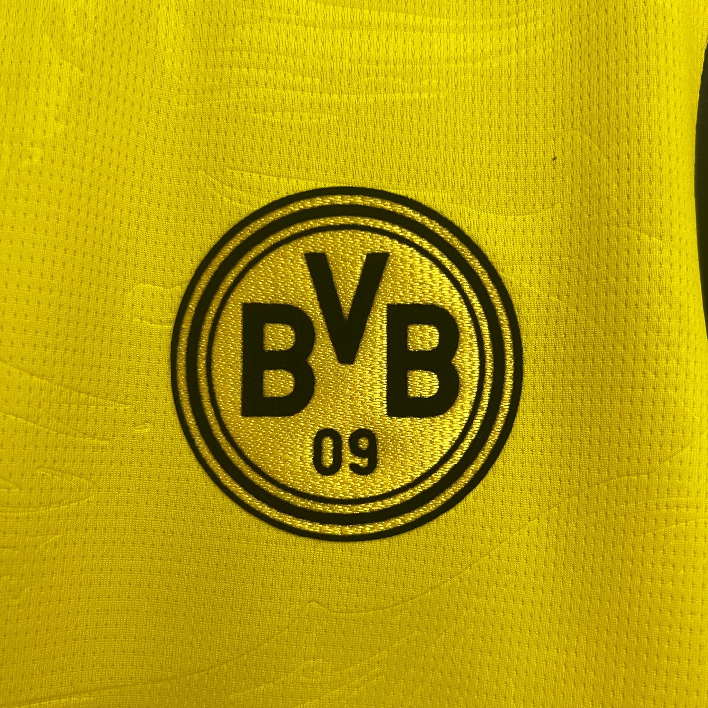 Camisola Borussia Dortmund 2024-25 Edição Especial Versão Adepto