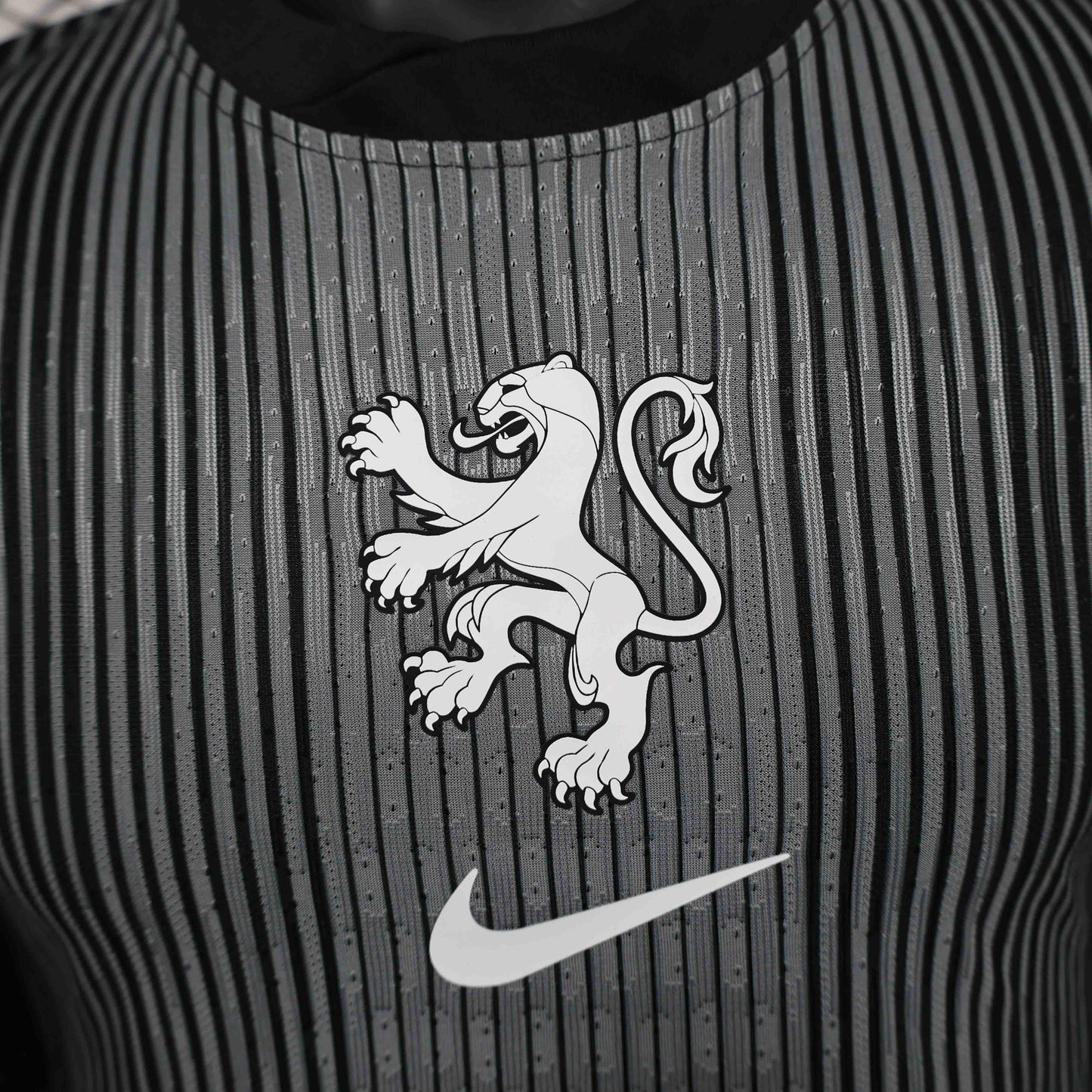 Camisola Paises Baixos 2025 Edição Especial Versão Jogador