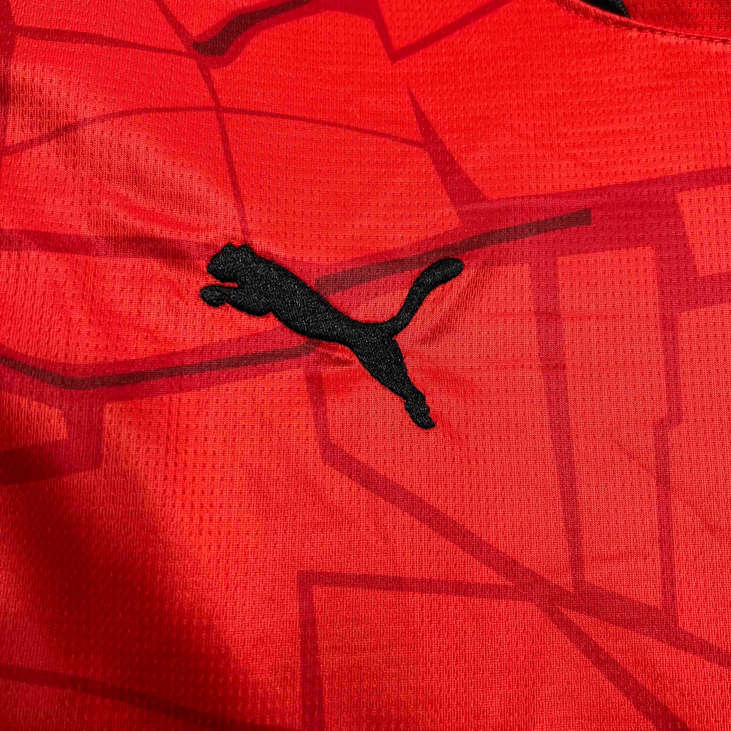 Camisola Stade Rennais FC 2024-25 Principal Versão Adepto