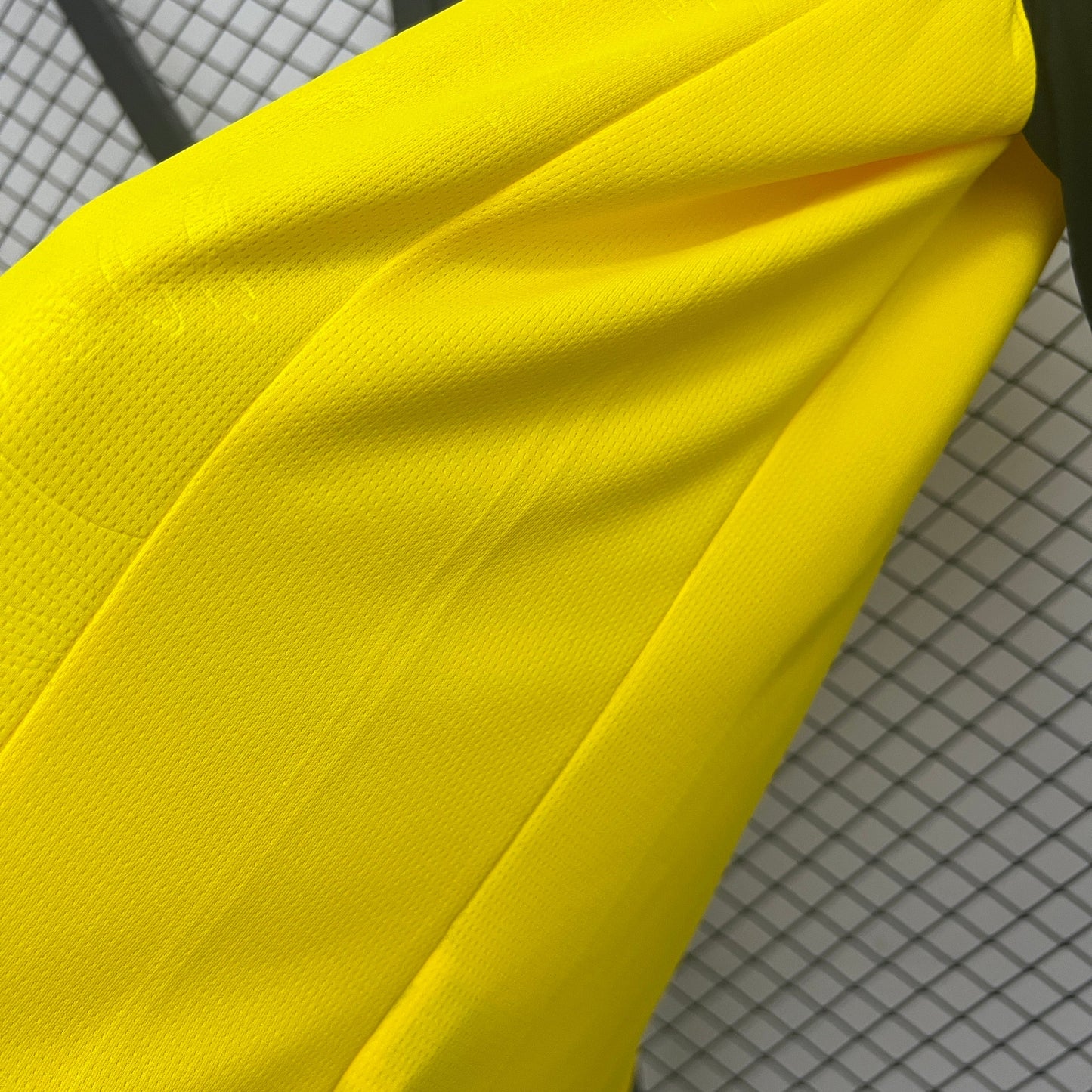 Camisola Borussia Dortmund 2024-25 Edição Especial Versão Adepto