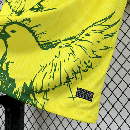 Camisola Brasil 2025 Edição Especial Versão Adepto