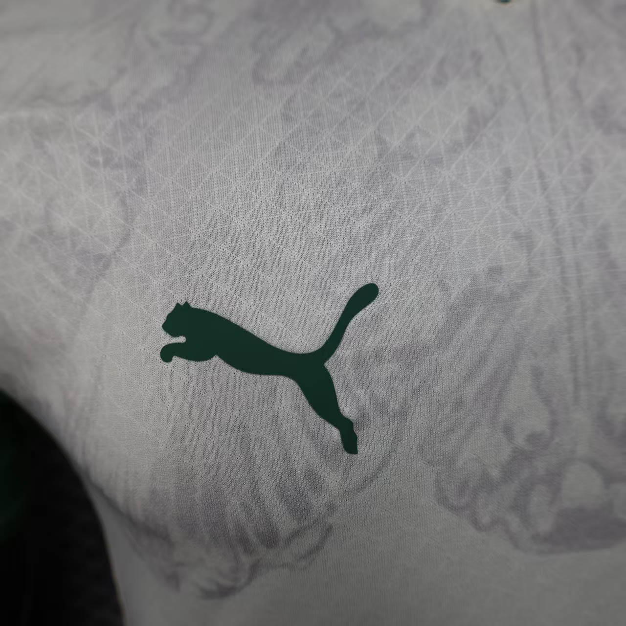 Camisola SE Palmeiras 2025-26 Edição Especial Versão Jogador