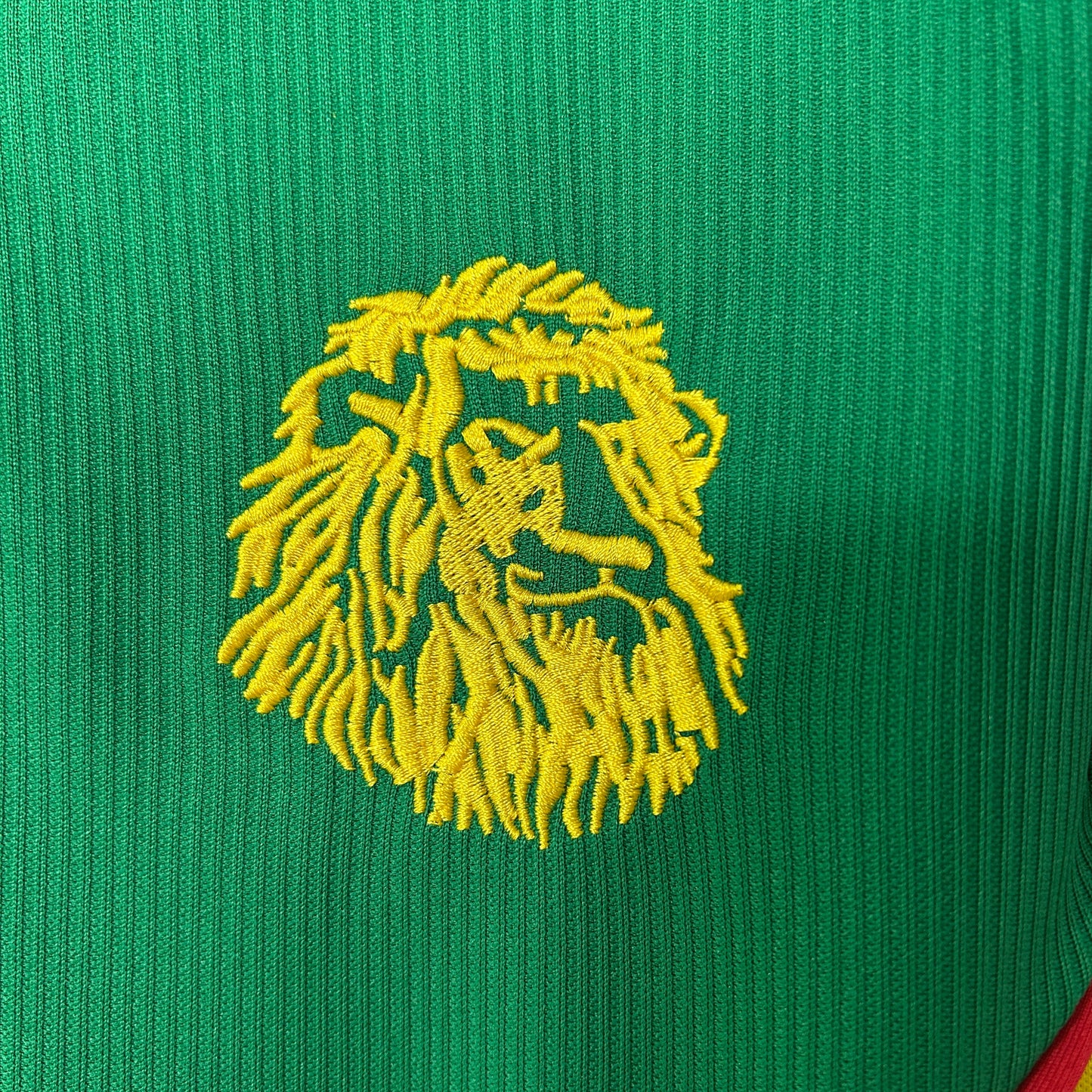 Camisola Camarões 1998 Principal