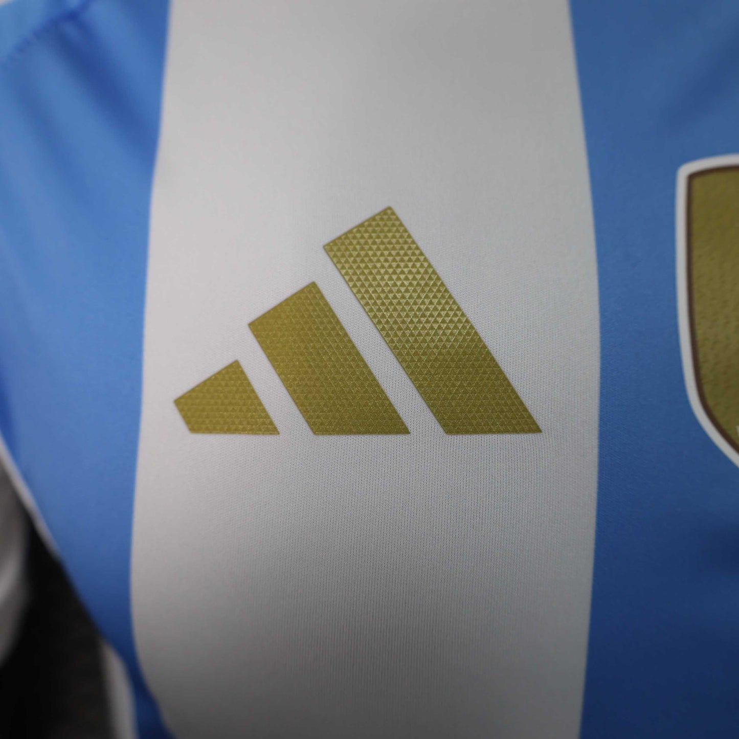 Camisola Argentina 2024 Principal Versão Jogador