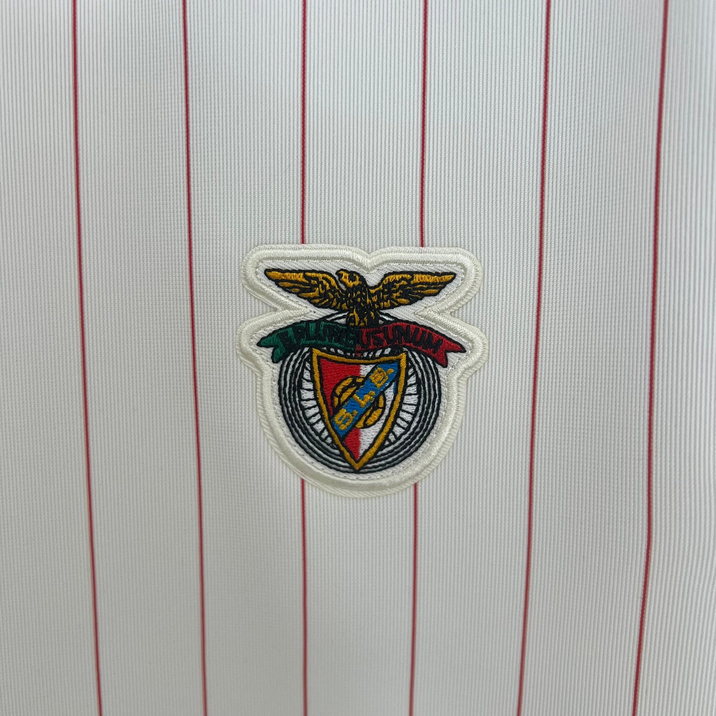 Camisola SLB 2025-26 Edição Especial Versão Adepto