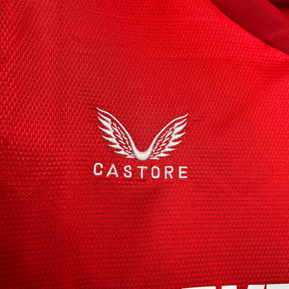 Camisola Twente 2024-25 Principal Versão Adepto