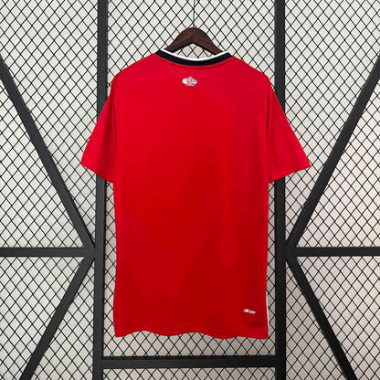 Camisola LOSC Lille 2024-25 Principal Versão Adepto