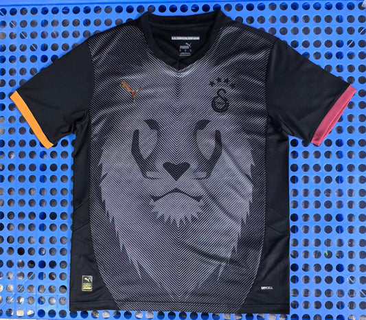 Camisola Galatasaray 2025-26 Edição Especial Versão Adepto