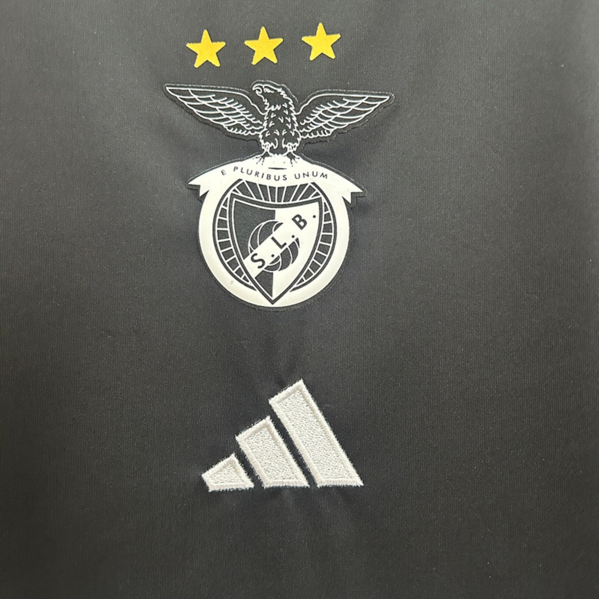 Camisola SLB 2025-26 Edição Especial Versão Adepto