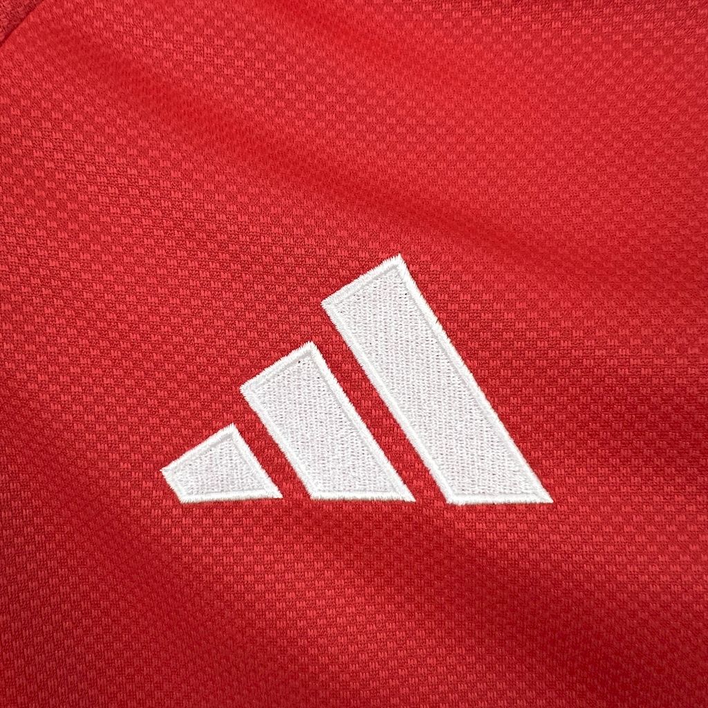 Camisola Manga Comprida SLB 2025-26 Principal Versão Adepto