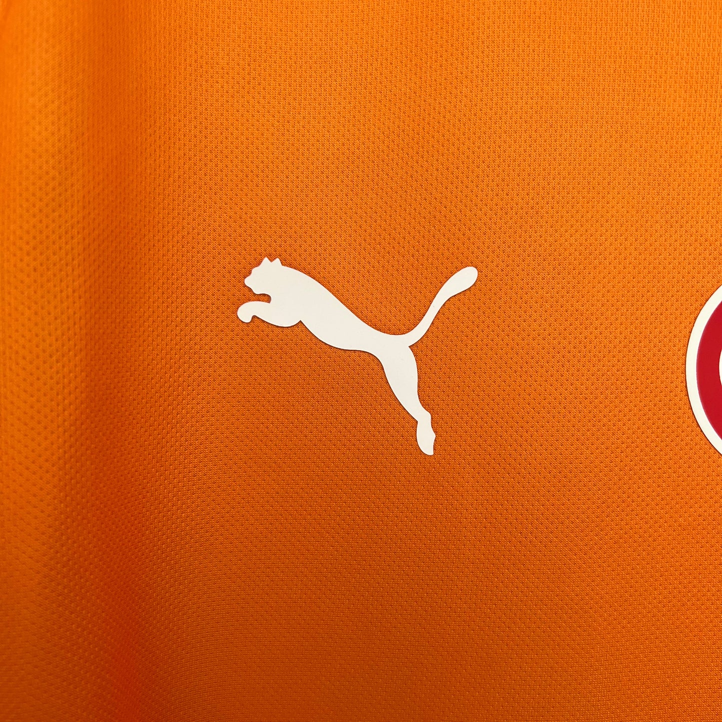 Camisola Galatasaray 2025-26 Principal Versão Adepto