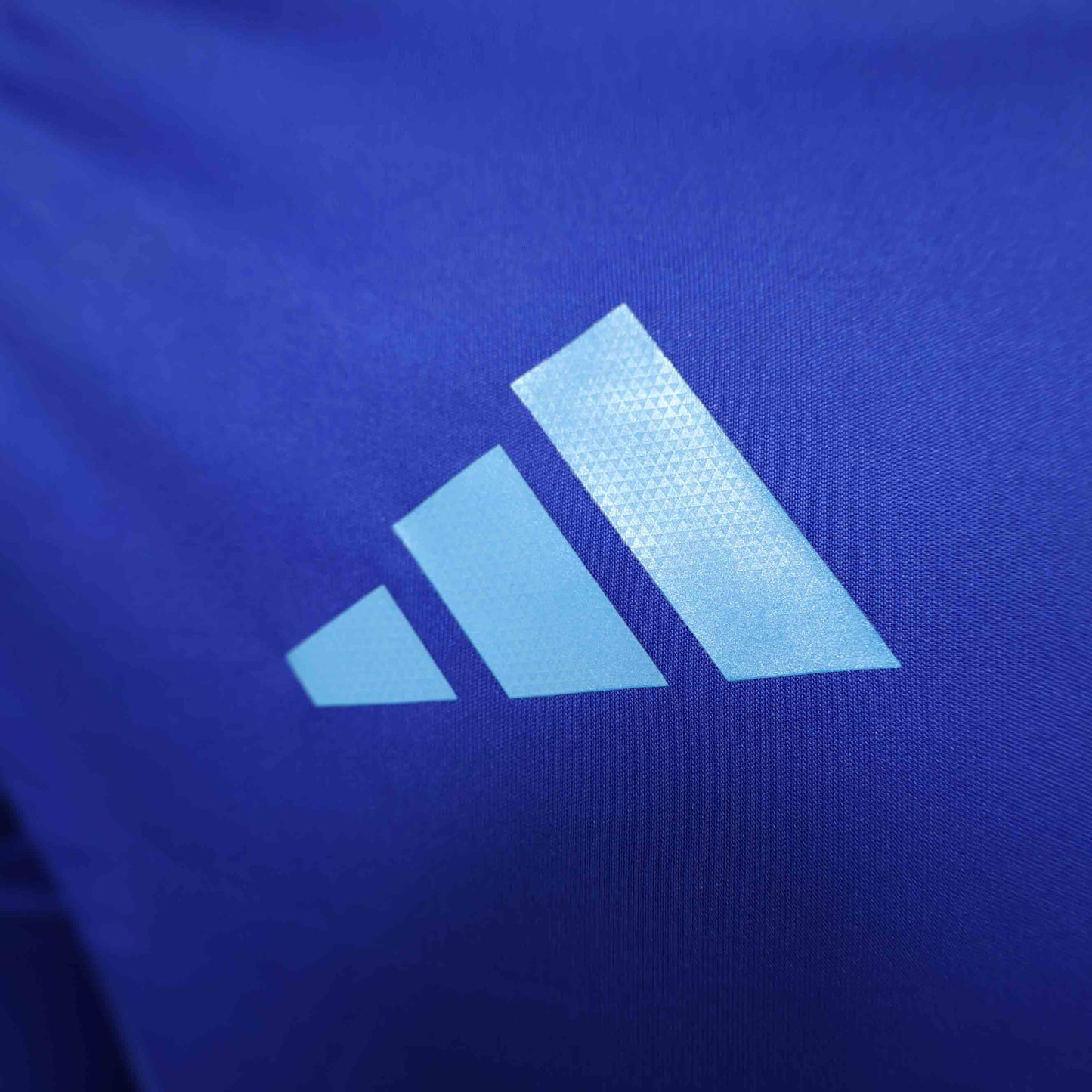 Camisola Manga Comprida Argentina 2024 Alternativa Azul Versão Jogador