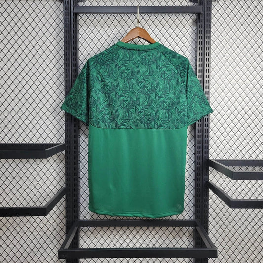 Camisola Fluminense FC 2024-25 Treino Versão Adepto