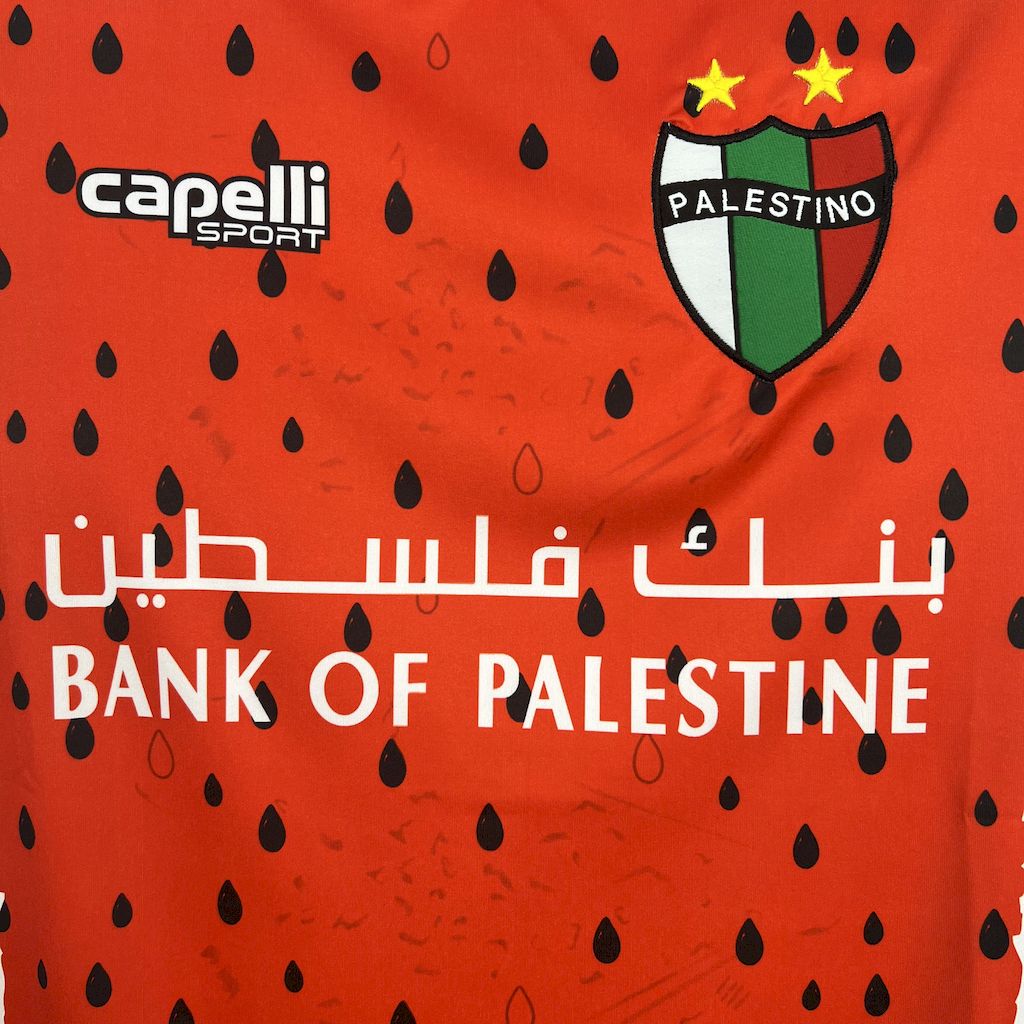 Camisola CD Palestino 2025-26 Alternativa Verde Versão Adepto