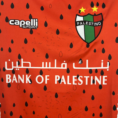 Camisola CD Palestino 2025-26 Alternativa Verde Versão Adepto