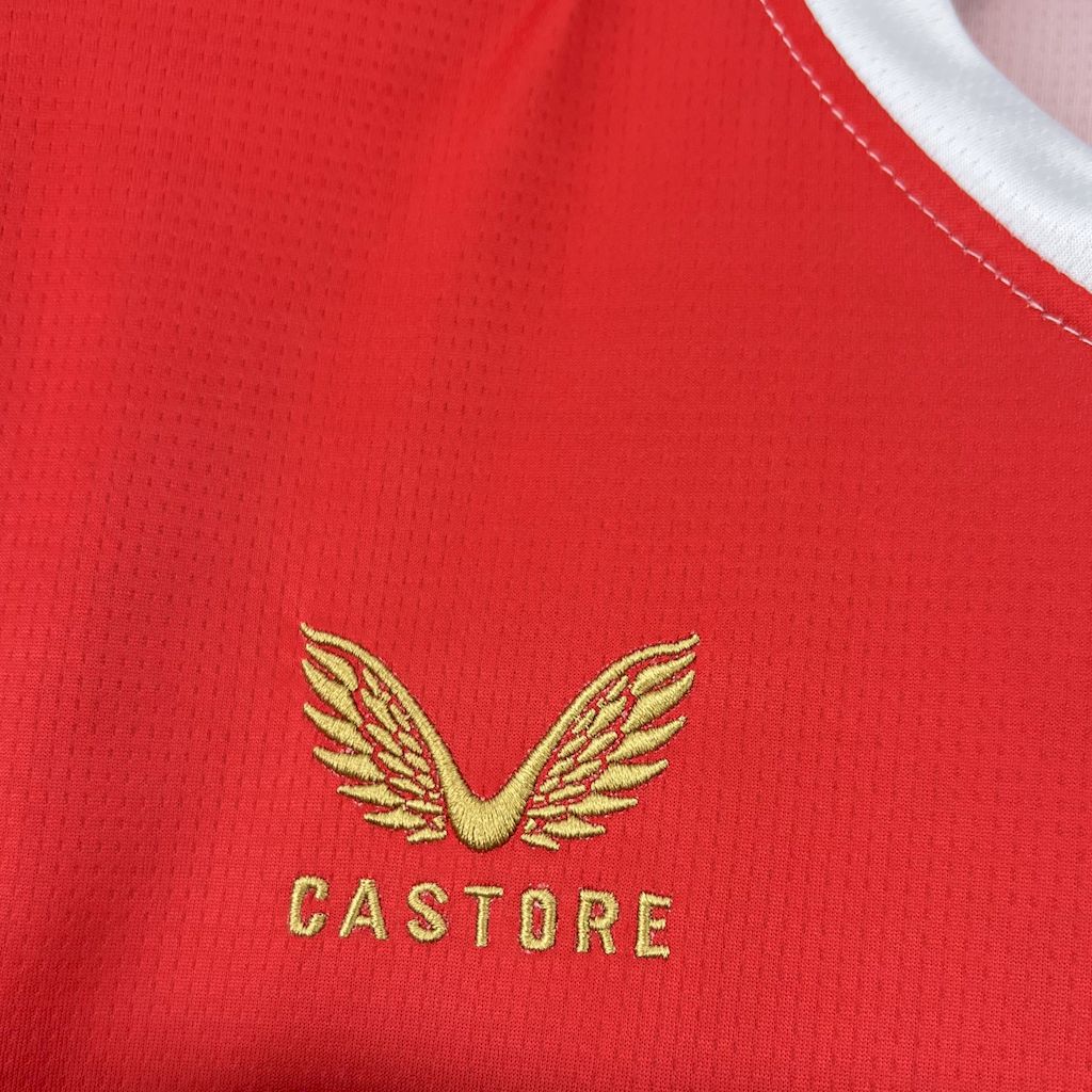 Camisola Feyenoord 2025-26 Principal Versão Adepto