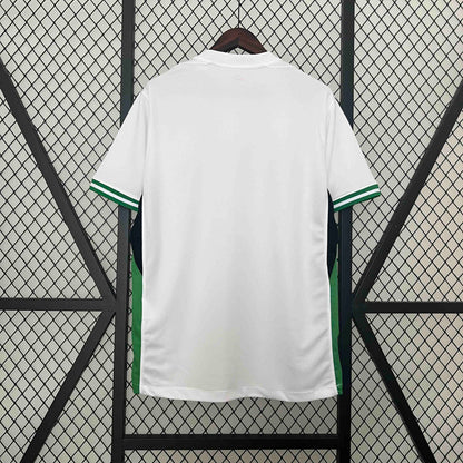 Camisola Nigeria 2024 Principal Versão Adepto