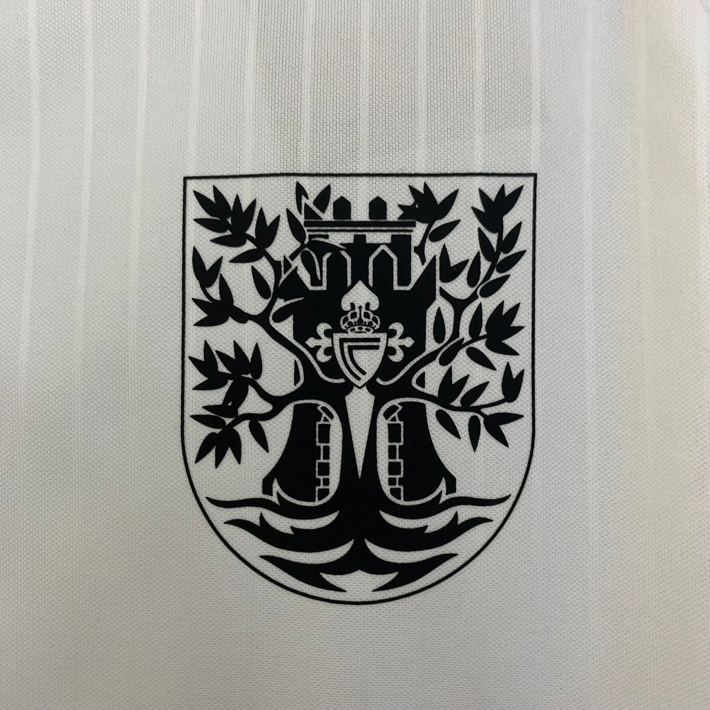Camisola Celta Vigo 2025-26 Edição Especial Versão Adepto