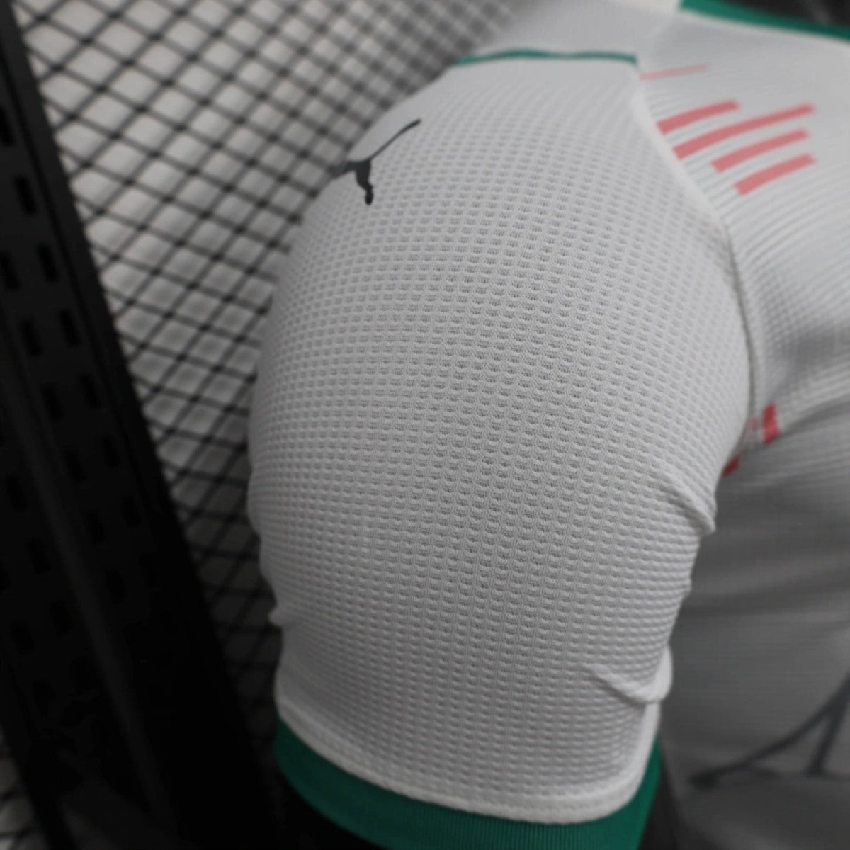 Camisola Argelia 2025 Edição Especial Versão Jogador