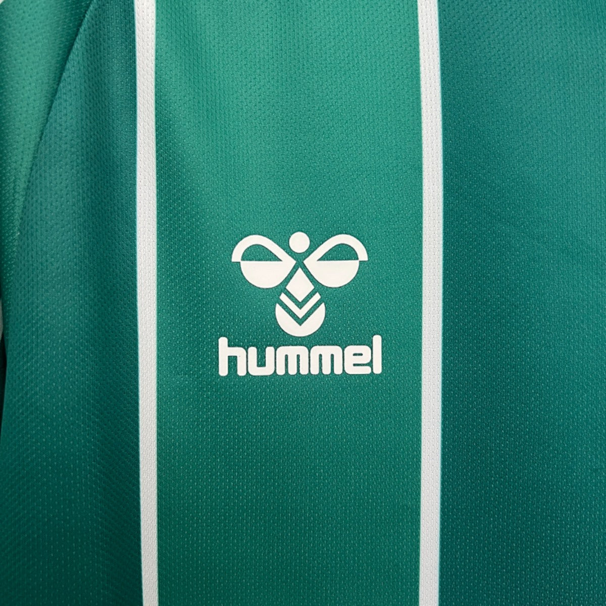 Camisola Werder Bremen 2025-26 Principal Versão Adepto