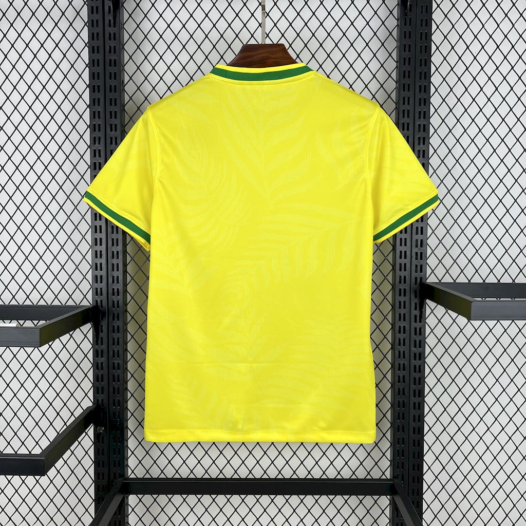 Camisola Brasil 2025 Edição Especial Versão Adepto